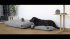 Подушка для собак 100 x 75 x 20, by MiaCara, B66958839